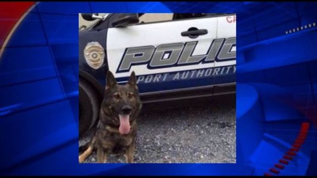 Port Authority K-9 dog killed during incident in Wilkinsburg