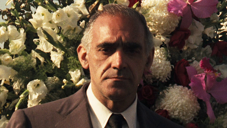 R.I.P. Abe Vigoda Co Star of The Godfather