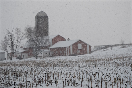 Winter Returns: Snow Set for Chicago Area