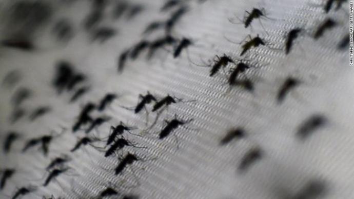 ADPH confirms first Zika virus case in AL