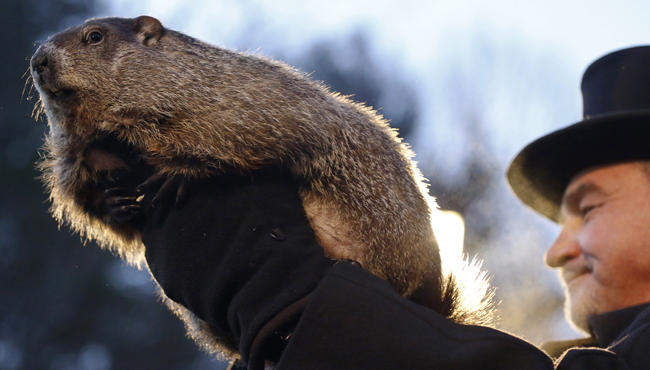 Groundhog Club co-handler John Griffiths holds Punxsutawney Phil during the annual celebration of Groundhog Day on Gobbler's Knob in Punxsutawney Pa. Tuesday Feb. 2 2016. The handlers say the furry rodent has failed to see his shadow meaning