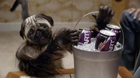 A “Puppymonkeybaby” starred in an ad for Mountain Dew Kickstart