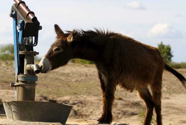 Zim declares National Emergency over drought - why not harder hit SA?