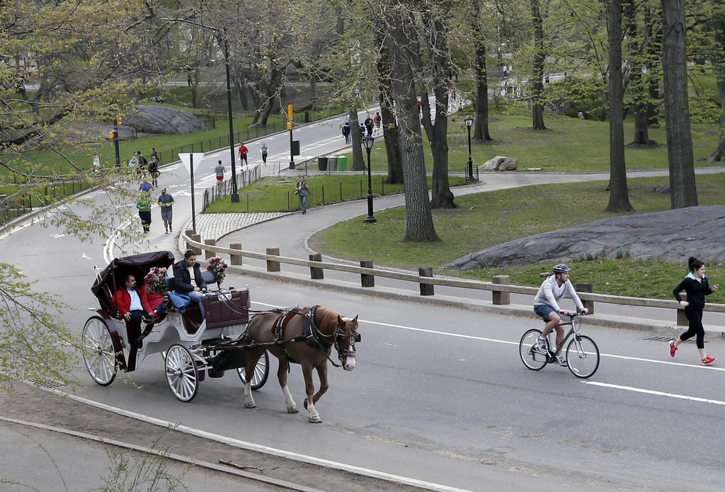 Councillors set to consider plan to reduce New York carriage trade