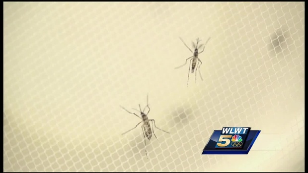 Cincinnati doctor weighs in on Zika's impact