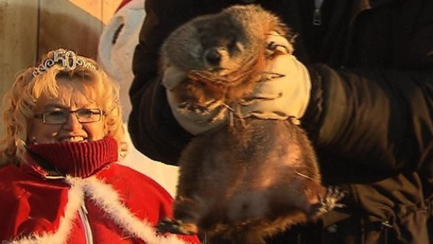 Quebec's official groundhog saw his shadow on Tuesday morning