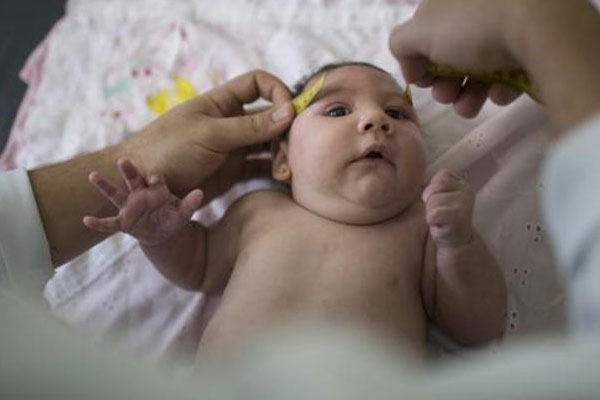 Race for Zika vaccine gathers momentum as virus spreads