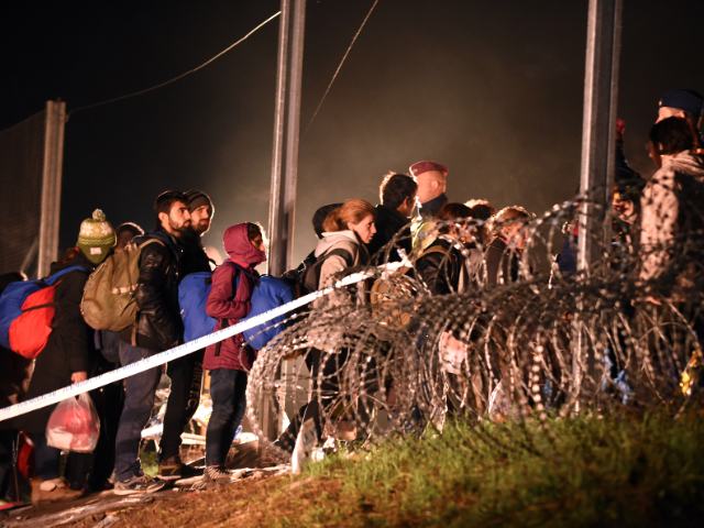 Migrants cross the border to Hungary