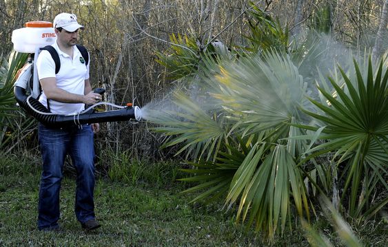 Darryl Nevins owner of a Mosquito Joe franchise sprays a backyard to control mosquitoes in Houston. Pest control companies in Texas are getting an early surge in business because of concerns that mosquito