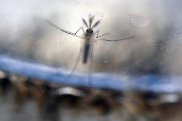 14 new sexually transmitted Zika cases reported