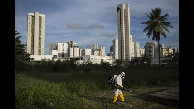 Health officials want more Zika samples, data from Brazil