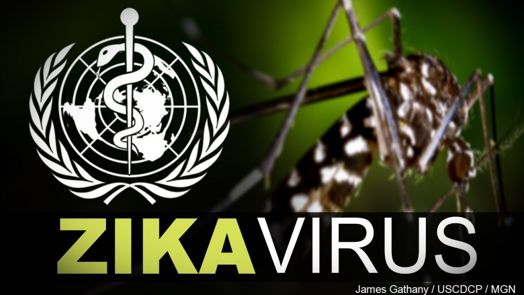 First US case of head shrinking disease Zika – caught through SEX