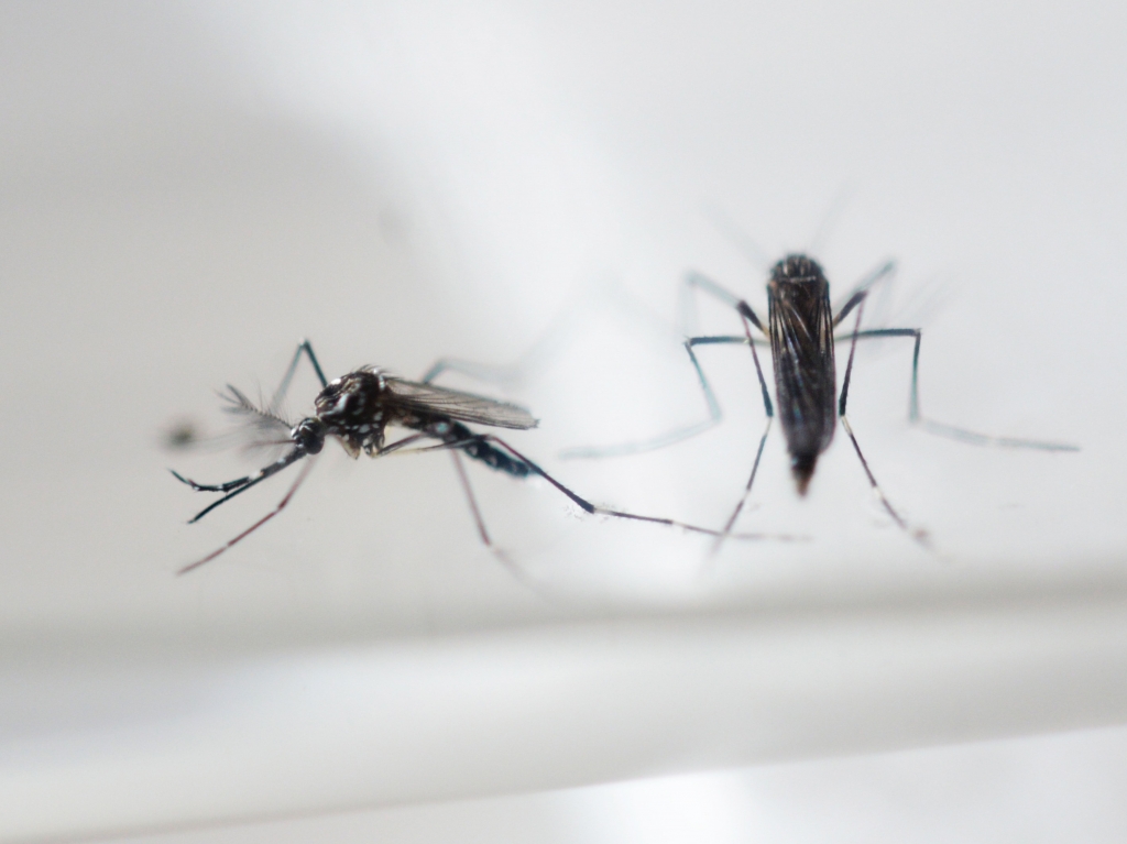 The Zika virus once thought to be spread only through mosquito bites was sexually transmitted to a person in Texas health officials say