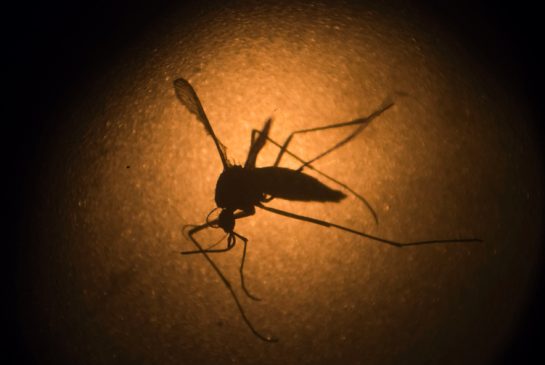 ZIKA: T&T Declares National Health Emergency