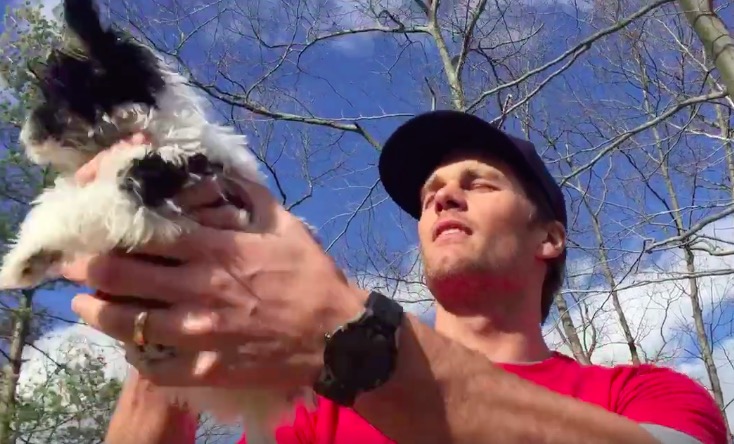 LOOK: Tom Brady goes full 'Lion King' to unveil newest family member