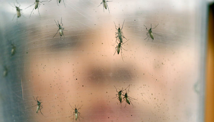 Florida officials report 6 cases of the Zika virus from travelers