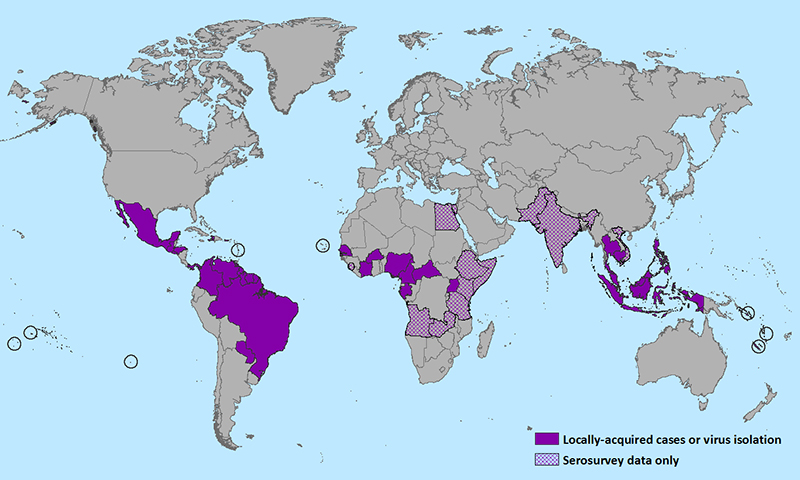 Zika Virus