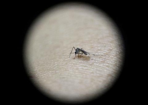 Australian Authorities Spray Queensland Hotel Over Zika Scare