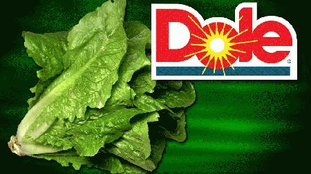 1 dead in listeria outbreak linked to packaged lettuce story image