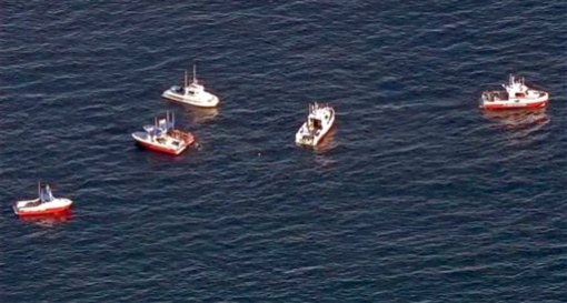 Search mission In this still frame from video provided by KABC-TV a flotilla of boats search for wreckage from two small planes that collided in midair and plunged into the ocean off of Los Angeles harbor Friday Feb. 5 2016. There was no immediate wor