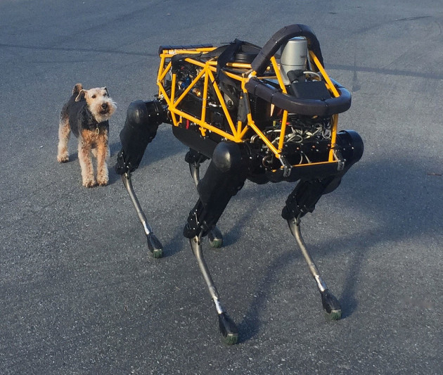 Robot dog