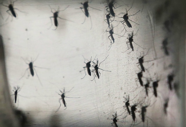 A Lakeview hospital has confirmed the first case of the Zika virus in Chicago hospital officials say