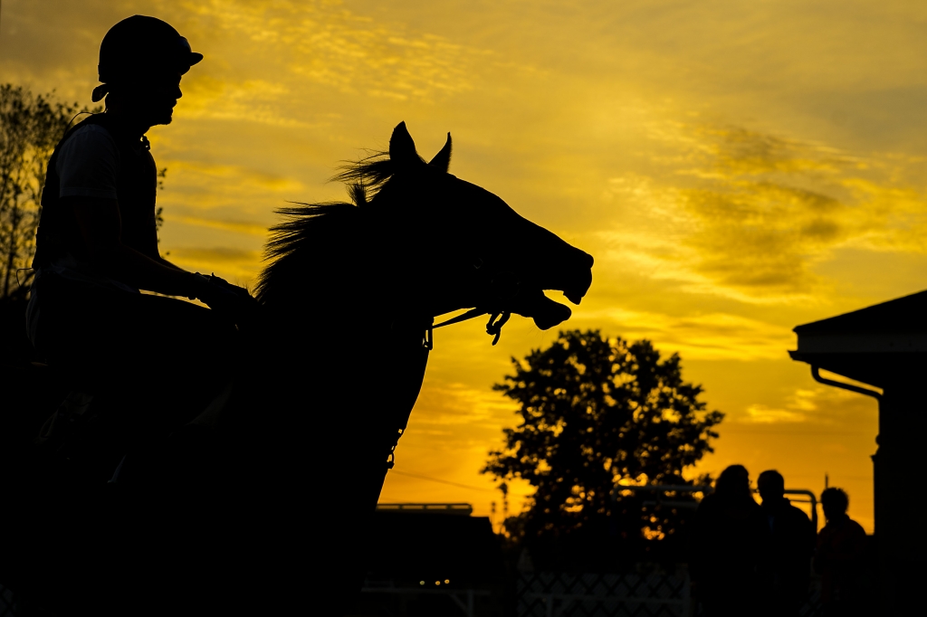 Scenes from morning workouts at Churchill Downs in Louisville Kentucky