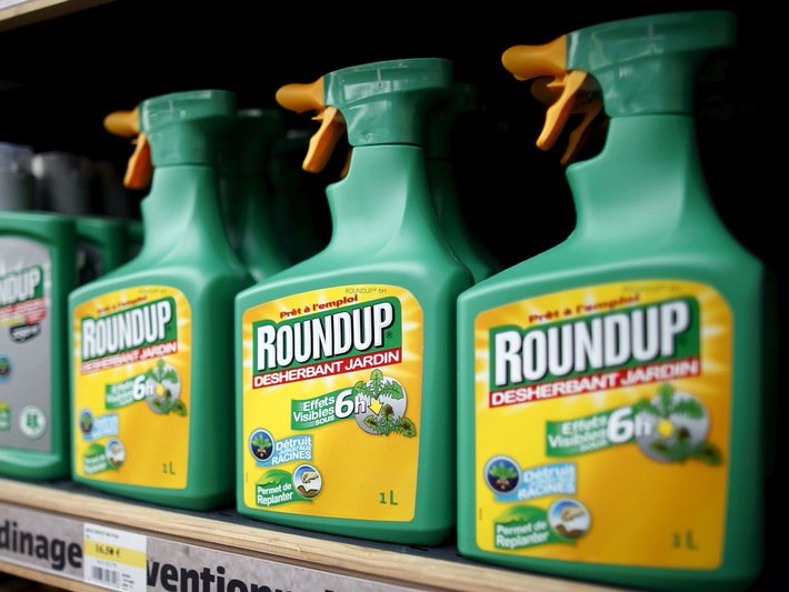 Monsanto's Roundup weedkiller atomizers are displayed for sale at a garden shop at Bonneuil-Sur-Marne near Paris France in this