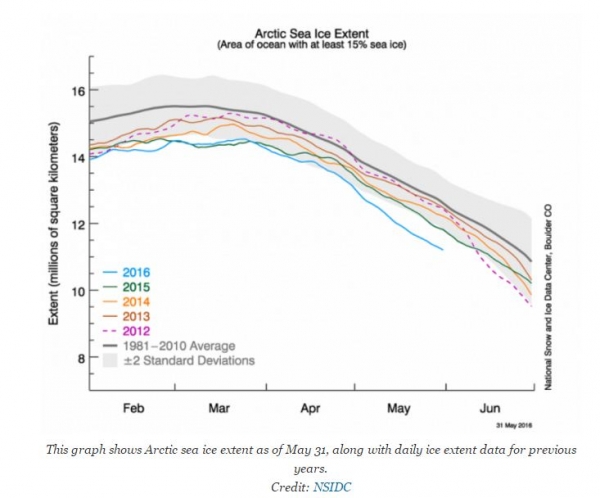 Pity the polar bears