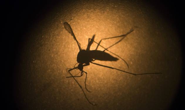 14 in Ohio test positive for Zika virus; federal funding month away