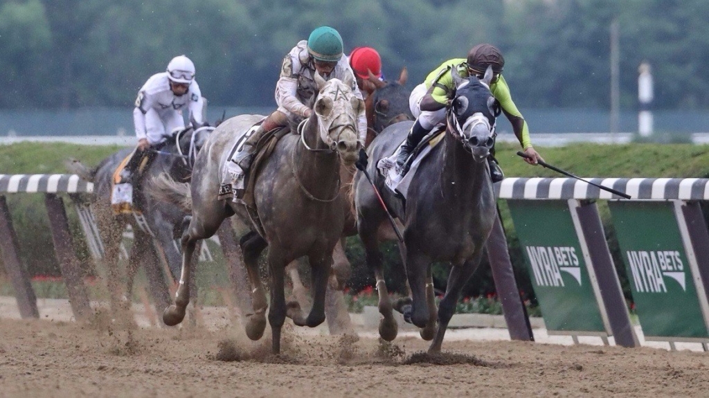 Exaggerator favored at Belmont