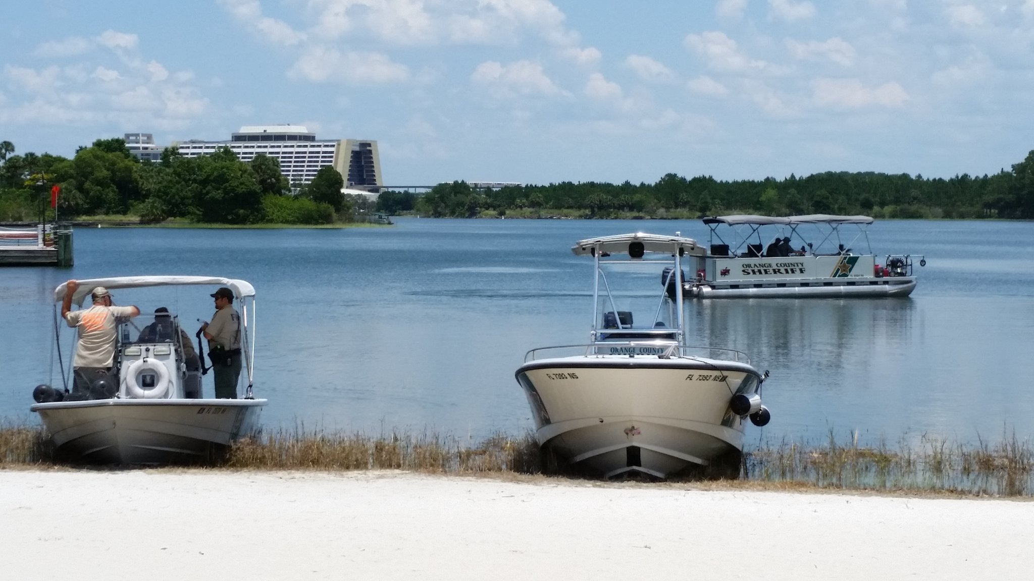 How to Survive a Gator Attack: 'Fight Like Hell,' Wildlife Experts Say