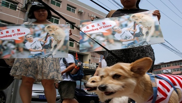 Animal activists hold banners against Yulin Dog Meat Festival as they carry rescued stray dogs in front of Yulin City Representative office in Beijing China