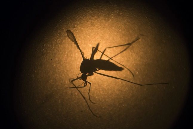 House, Senate GOP seals agreement on $1.1B Zika measure