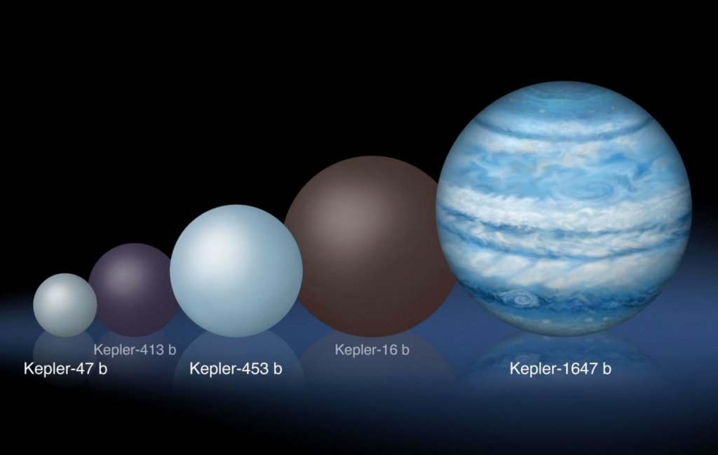 Comparison of the relative sizes of several circumbinary planets. Kepler-1647b is substantially larger than any of the previously known circumbinary planets. Image credit Lynette Cook