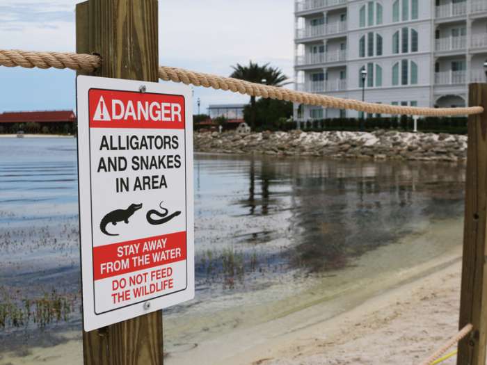 Disney World Resort a new sign is seen posted on a beach outside a hotel at a Walt Disney World resort in Lake Buena Vista Fla. Associated Press