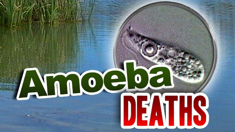 Brain-Eating Amoeba Eyed in Death of Ohio Teen