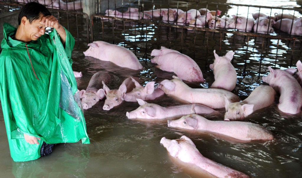 A farmer has been left with no choice after severe flooding hit China