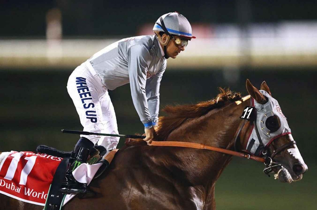 California Chrome was too good once again