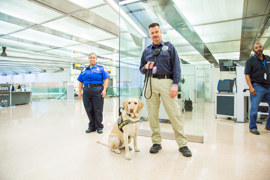 FAA TSA airport security team