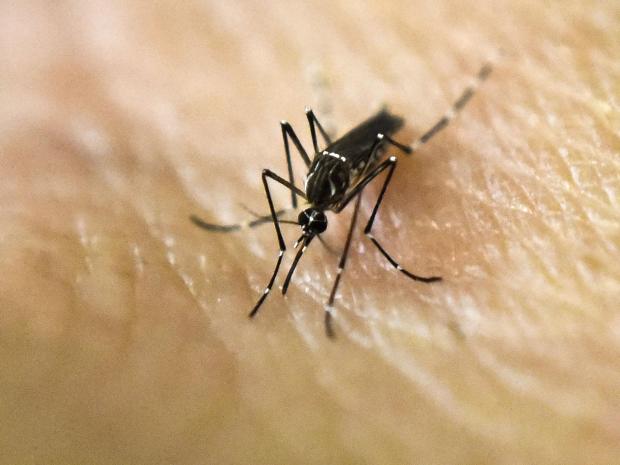 First Zika cases confirmed in Riverside, Fresno counties