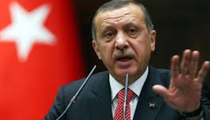 Turkey President declares three-month state of emergency