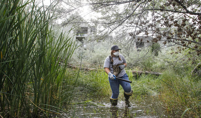 First travel-related Zika case confirmed in Charlotte County