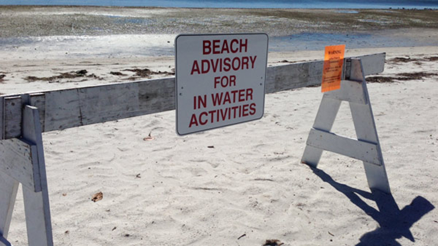 No swiming advisories posted for Florida beaches