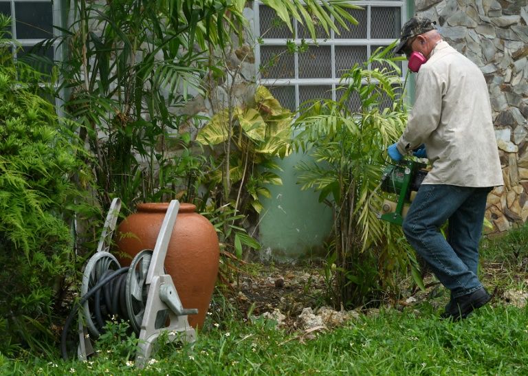 Possible Zika outbreak detected in Florida