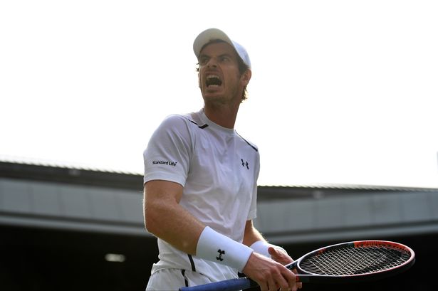 Shaun Botterill  Getty Images

He's through Andy Murray of Great Britain celebrates