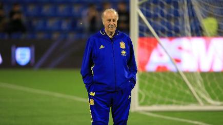 Vicente del Bosque is stepping down as Spain coach after eight years in charge