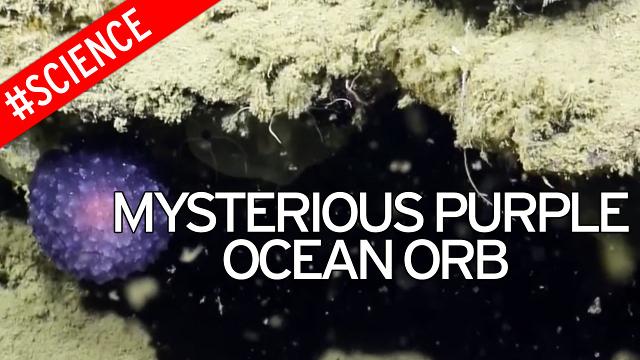 Scientists discover mysterious purple orb on ocean floor