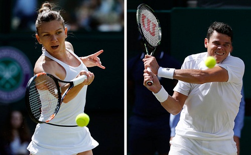 Tennis stars Raonic, Halep withdraw from Olympics, cite Zika