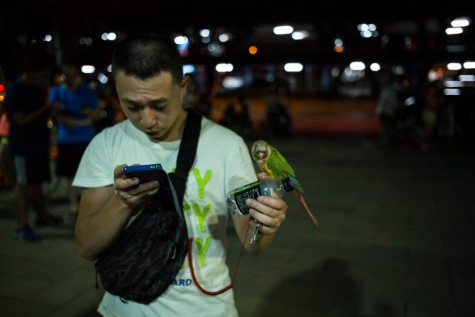 A man in Taiwan plays Pokemon GO on his phone